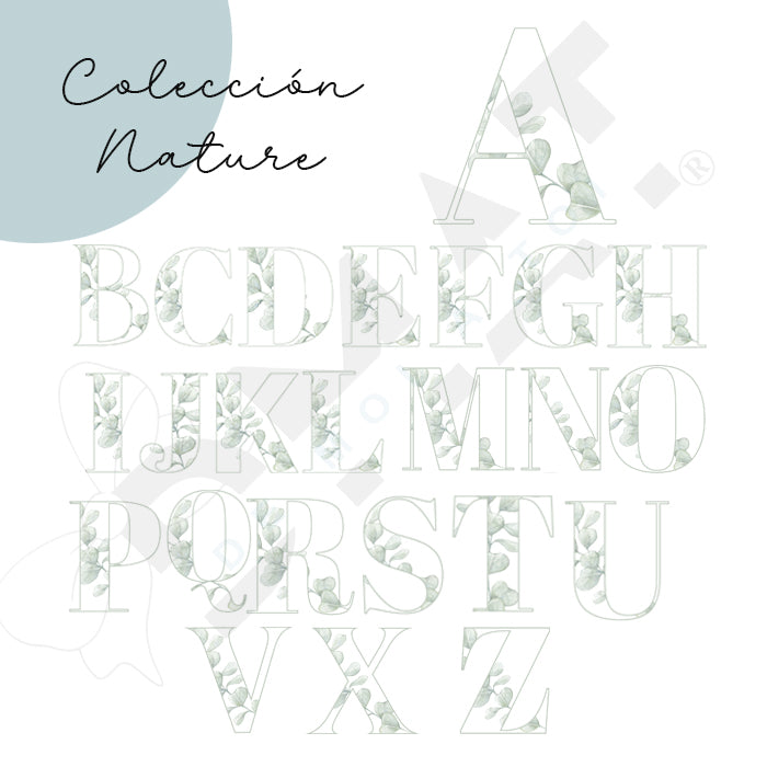 Diseño natural de eucalipto para personalizar detalles de invitados