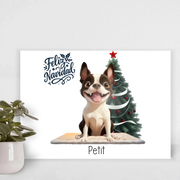 Canvas-24x16-no frame