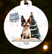 BOLA NAVIDAD BLANCA-trans