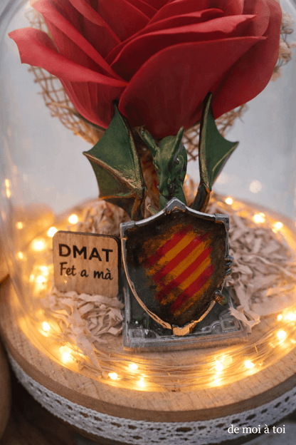 Regalo de sant jordi original