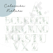 Diseño natural de eucalipto para personalizar detalles de invitados