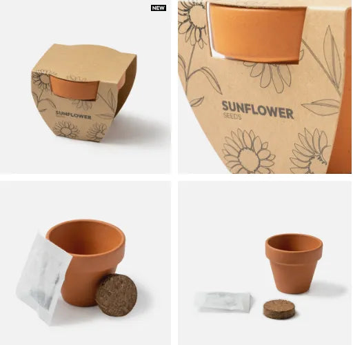 Liquidación- Kit de cultivo maceta terracota - Girasol
